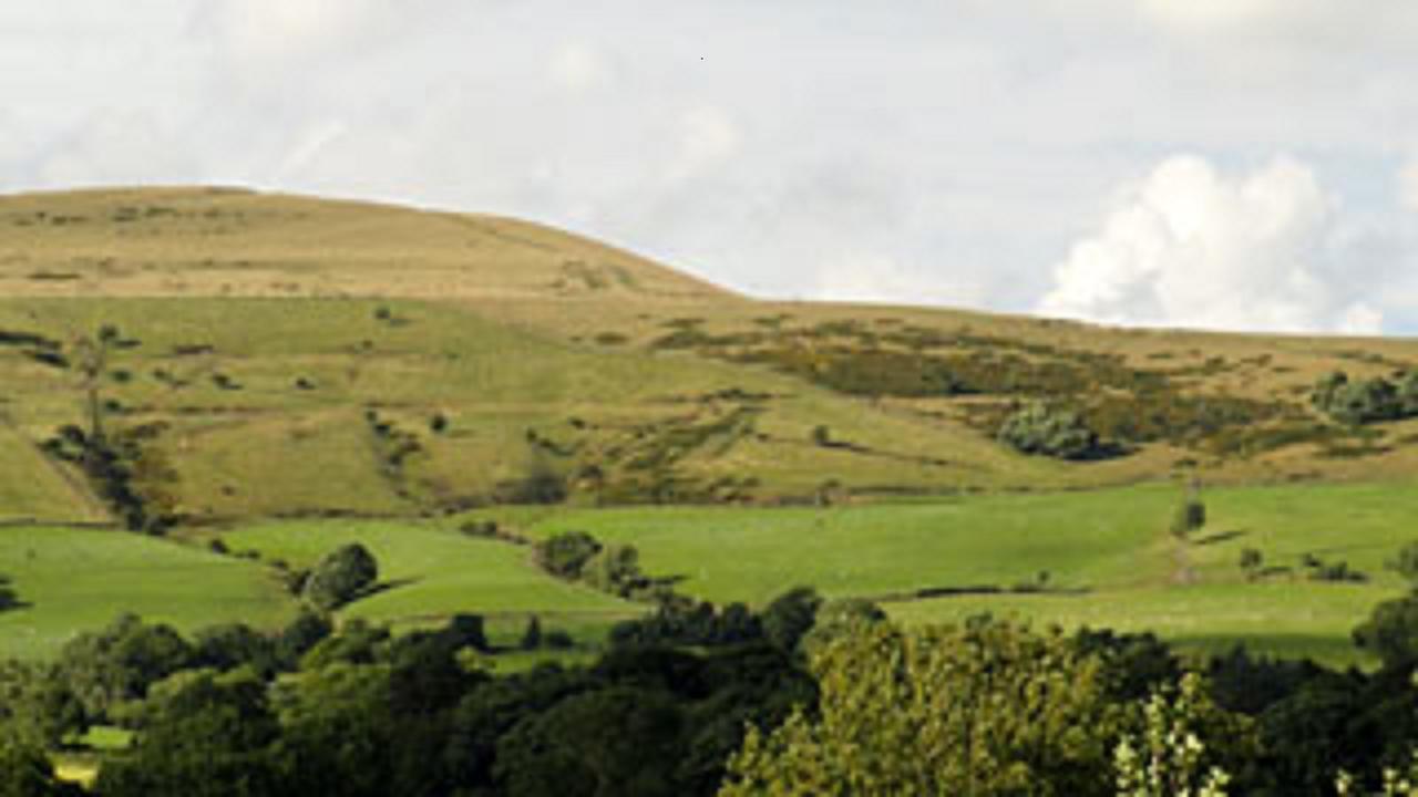Cheshire House Guest House Хоуп Екстериор снимка